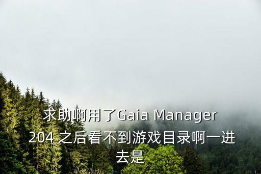 求助啊用了Gaia Manager 204 之后看不到游戏目录啊一进去是