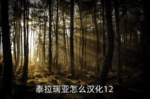 泰拉瑞亚怎么汉化12