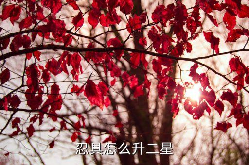 忍具怎么升二星