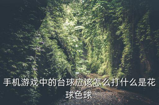 斯诺克手游怎么玩，手机游戏中的台球应该怎么打什么是花球色球