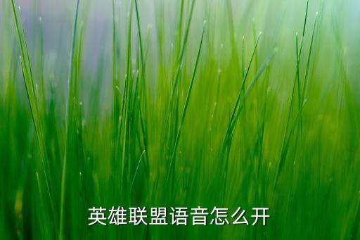 英雄联盟语音怎么开