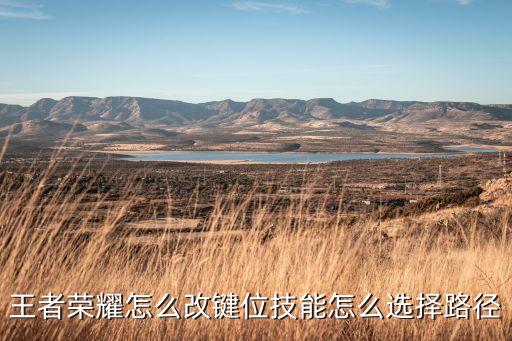 王者荣耀怎么改键位技能怎么选择路径