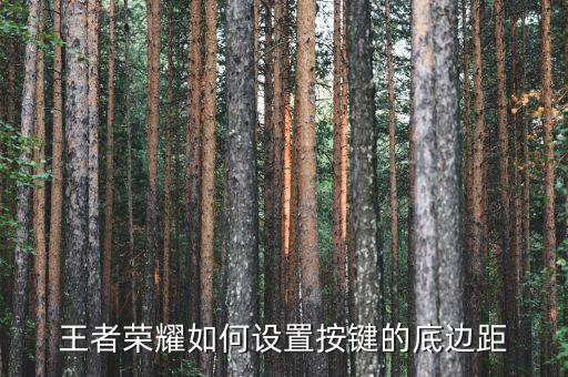 王者荣耀如何设置按键的底边距