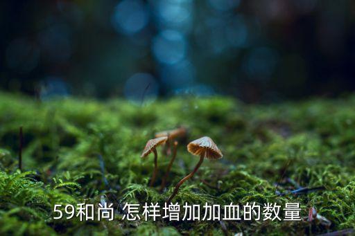 梦幻新诛仙手游和尚怎么提高治疗，59和尚 怎样增加加血的数量