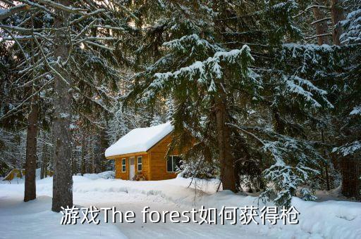 游戏The forest如何获得枪