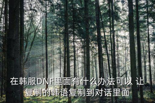 在韩服DNF里面有什么办法可以 让复制的韩语复制到对话里面