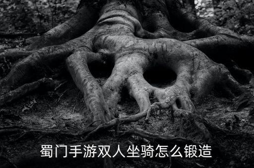 蜀门手游怎么锻造，蜀门手游装备怎么强化 装备锻造强化攻略