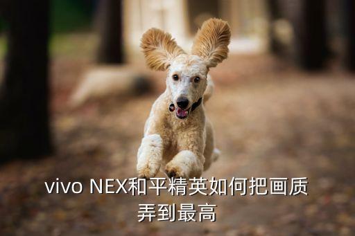 vivo NEX和平精英如何把画质弄到最高