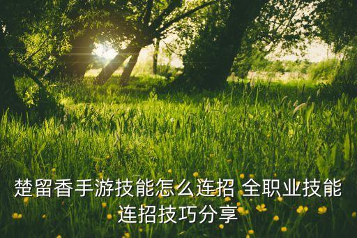 楚留香手游技能怎么连招 全职业技能连招技巧分享