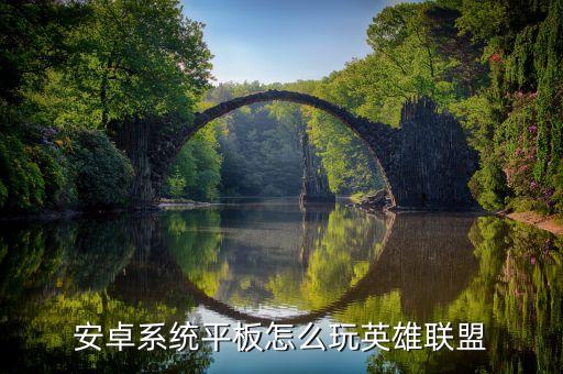 安卓系统平板怎么玩英雄联盟