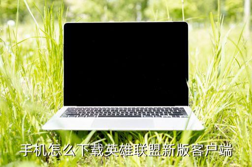 华为国服英雄联盟手游怎么下载，lol国服怎么下载