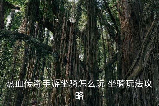 热血传奇手游坐骑怎么玩 坐骑玩法攻略