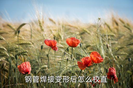 方舟手游金属水管怎么校正方向，钢管焊接变形后怎么校直