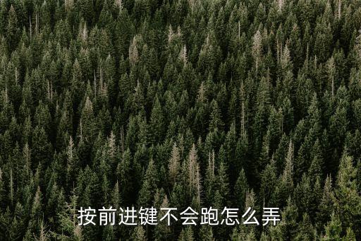 按前进键不会跑怎么弄