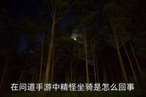 在问道手游中精怪坐骑是怎么回事