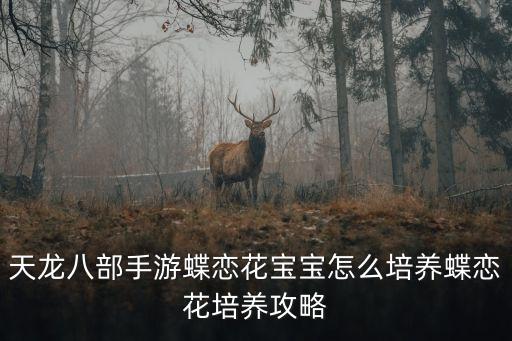 天龙八部手游蝶恋花宝宝怎么培养蝶恋花培养攻略