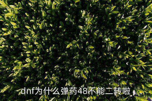 dnf为什么弹药48不能二转啦