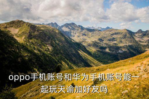 oppo手机账号和华为手机账号能一起玩天谕加好友吗