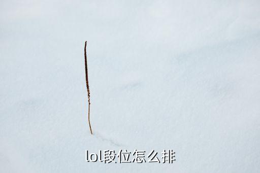 lol段位怎么排
