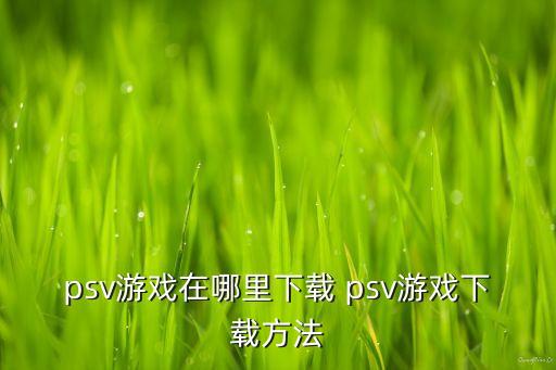 psv游戏在哪里下载 psv游戏下载方法
