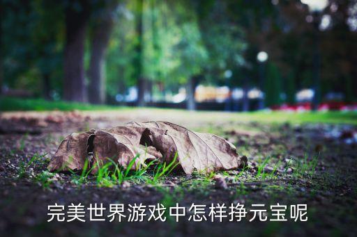 完美世界游戏中怎样挣元宝呢
