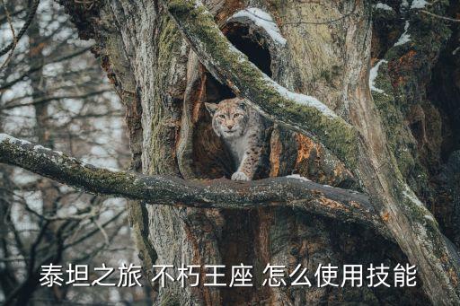 泰坦之旅手游装备自带技能怎么用，泰坦之旅怎样用技能
