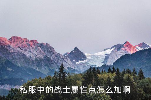 问道手游战士属性点怎么加，私服中的战士属性点怎么加啊