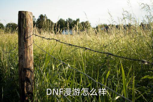 dnf手游漫游手感怎么样，DNF漫游怎么样