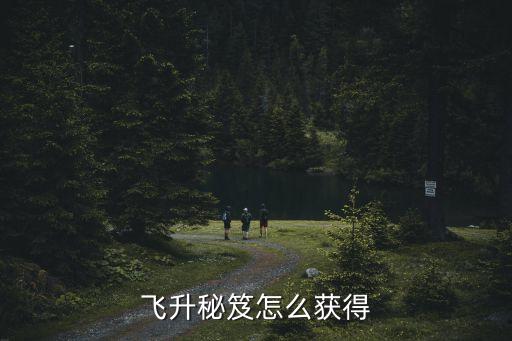 飞升秘笈怎么获得