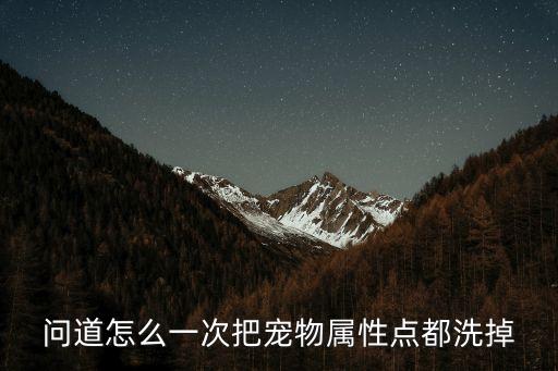 问道怎么一次把宠物属性点都洗掉