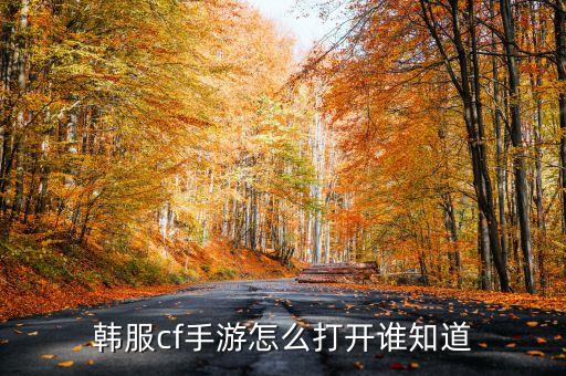 韩服cf手游怎么打开谁知道