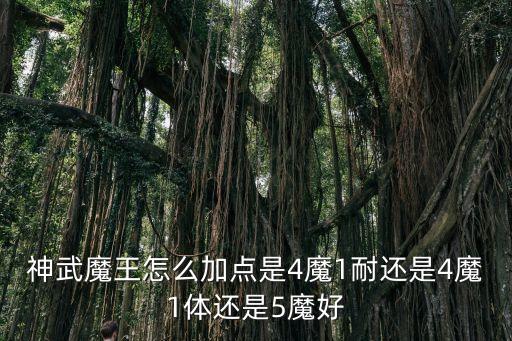 神武魔王怎么加点是4魔1耐还是4魔1体还是5魔好