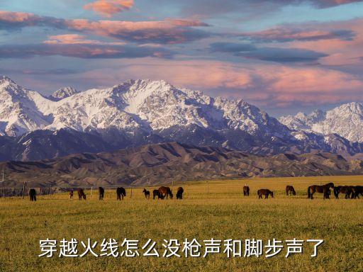 穿越火线怎么没枪声和脚步声了