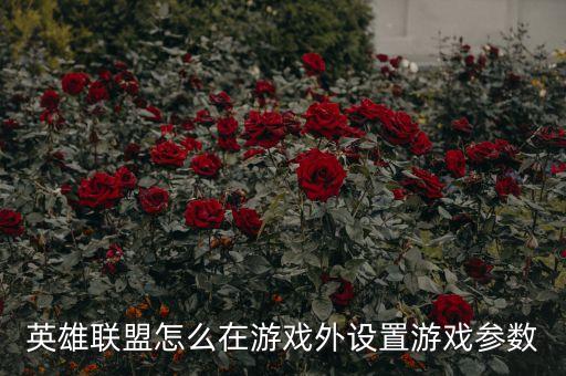 英雄联盟怎么在游戏外设置游戏参数