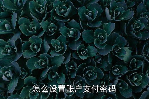 怎么设置账户支付密码