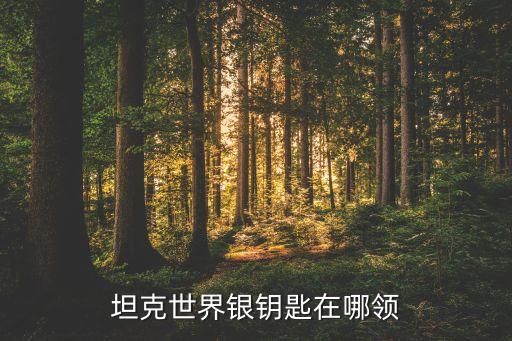 坦克世界手游钥匙怎么得到，怎么获得念力钥匙