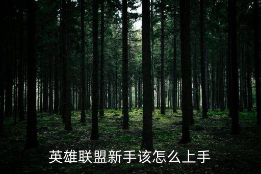 英雄联盟新手该怎么上手