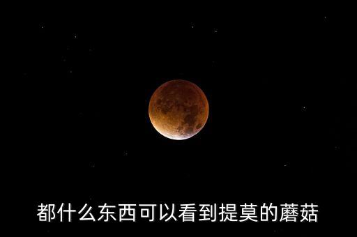 都什么东西可以看到提莫的蘑菇