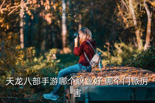 天龙八部手游哪个职业好 哪个门派厉害