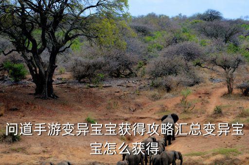 问道手游变异宝宝获得攻略汇总变异宝宝怎么获得