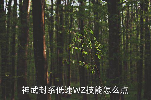 神武封系低速WZ技能怎么点