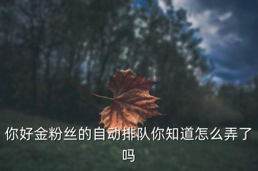 你好金粉丝的自动排队你知道怎么弄了吗