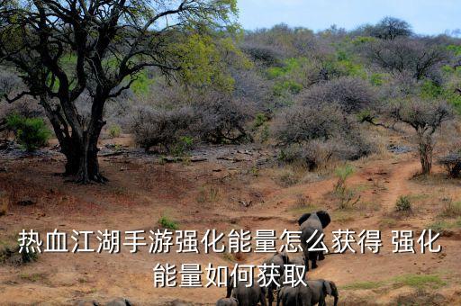热血江湖手游强化能量怎么获得 强化能量如何获取