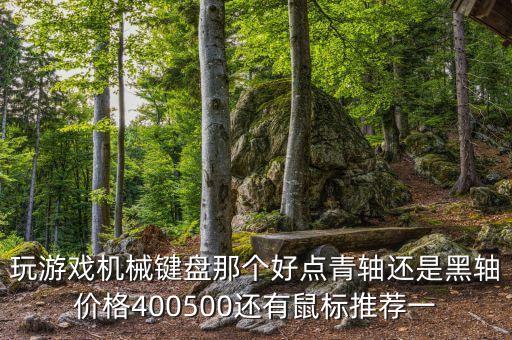 玩游戏机械键盘那个好点青轴还是黑轴价格400500还有鼠标推荐一