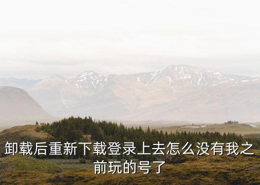 卸载后重新下载登录上去怎么没有我之前玩的号了