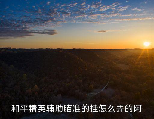 和平精英手游辅助瞄准怎么调，和平精英辅助瞄准的挂怎么弄的阿