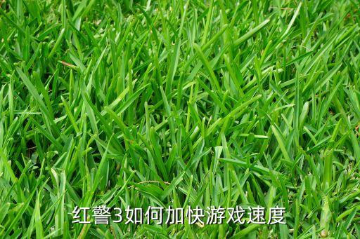 红警3如何加快游戏速度