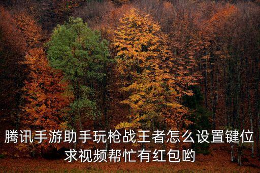 腾讯手游助手玩枪战王者怎么设置键位求视频帮忙有红包哟