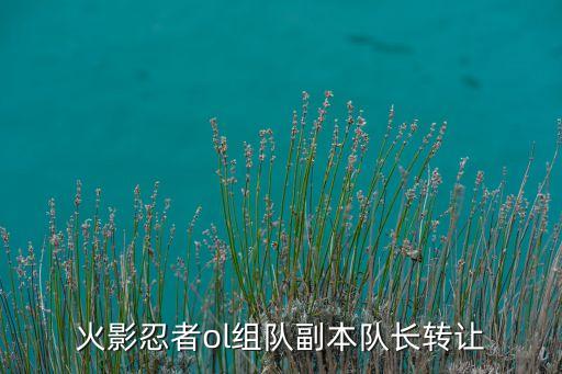 火影手游团本怎么让出小队长，火影忍者ol组队副本队长转让
