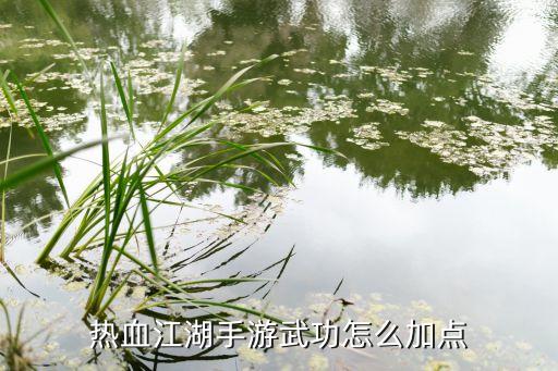 热血江湖手游武功怎么加点